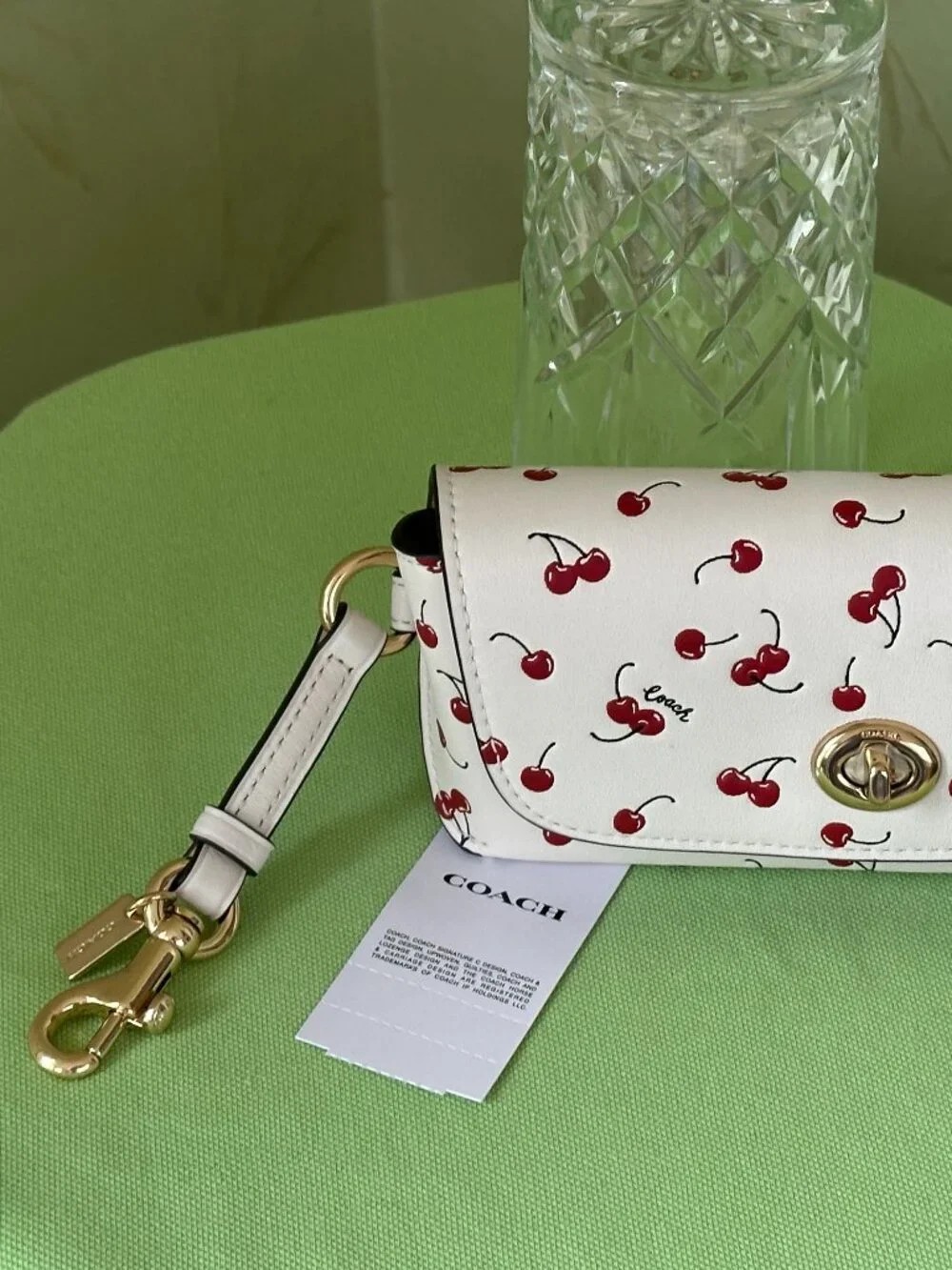 COACH SUNGLASS CASE W/ CHERRY PRINT:NWT CHALK/MULTI CFA49